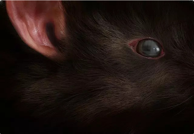 1522227205.png 1.png