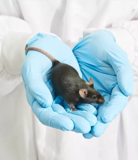 1522227340.png 4.png